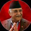 kp_shamra_oli