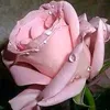 user74474032