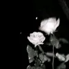 yeah_i.minlovetoyou