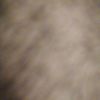 user12343w1