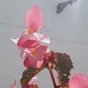 user08535198