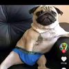 wantasprltecranbarry