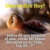 user316635537