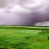 _abuomer0