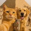 Pet stories 🐾