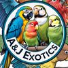 anj_exotics