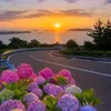 quraishy70