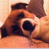 skye.mtt