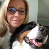 goldenbernermom12