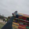olguitayael