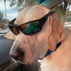 matt.johnsonfl72