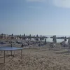 ornelladistefano2