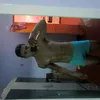 ayrton_senaeb305
