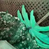 crssssnt