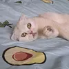 Юкки