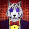 WOLF FOKUS