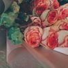 salwa_fahad