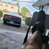 evankelly86