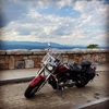 that_vstar650_chick