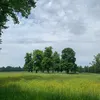 mfuenmayoralba