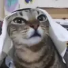 melissamkvc