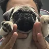 gabidiazz22