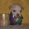 axelguerrero323