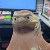 renemarquezjr0