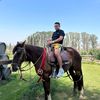 iomarferil