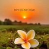 shannenlee80