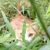 yu_na0612_19