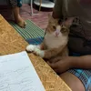 sarahqowiy_