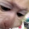 valeriamariscal87