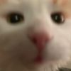 socute2me02