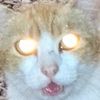 nnnnnrmzhh