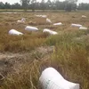 cotrinhhangbong123