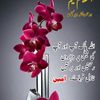 umarsehar033
