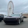 cartiersuniverse