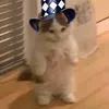 drksanya