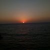 dandoun_495