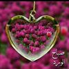 rty__2023