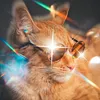 simbachka_pimpocha
