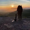 pupnupdogtraining