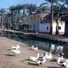 faridafarouq668