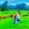 55avi55