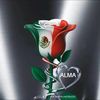 almafuentes004