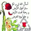 user85c53qsc4n