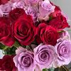 amina_ismail06