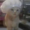 itsbubblegum0