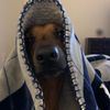 abbeybaron